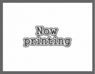 特殊切手帳  1995  (NIPPON POSTAGE STAMPS)