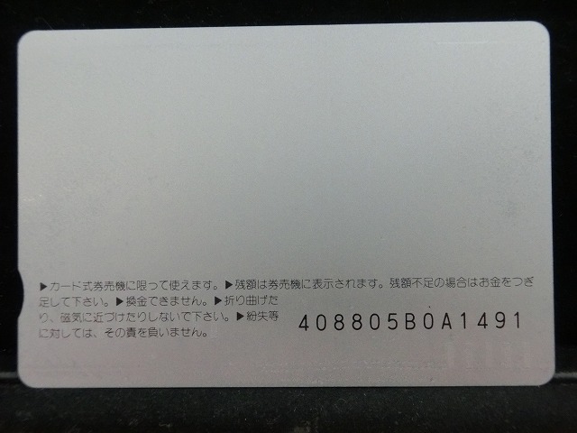 オレンジカード  未使用    JR  九州  オランダ村特急  電車-0662